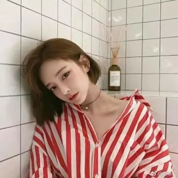 哈莱姆的郁金香封面